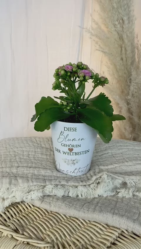 Blumentopf mit Wunschtext als Dankeschön Abschiedsgeschenk